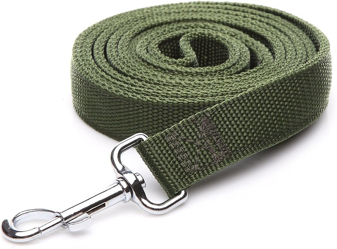 Nylon Dog Leash with 2-Layer, 4 FT/ 6 FT/ 7FT Long, 1 Inch Wide for Medium Large Dogs