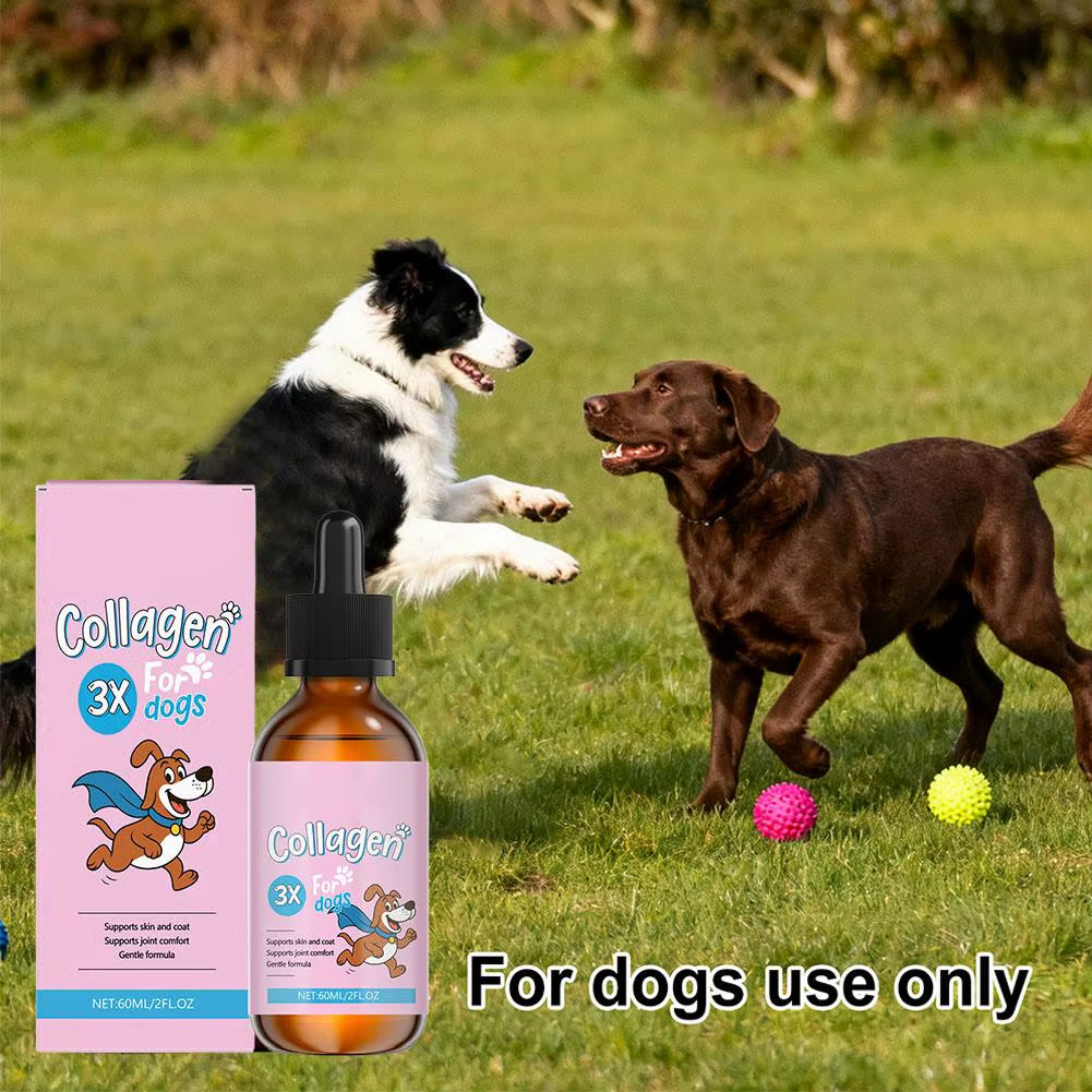 1/3/5-Piece Dog Collagen Drops Gentle Formula for Coat & Skin Care Main Dietary Supplement Dog Cleaning Supplies