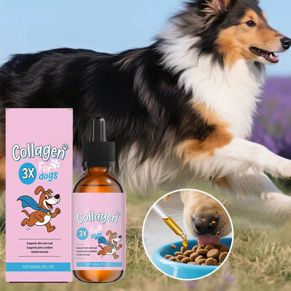 1/3/5-Piece Dog Collagen Drops Gentle Formula for Coat & Skin Care Main Dietary Supplement Dog Cleaning Supplies