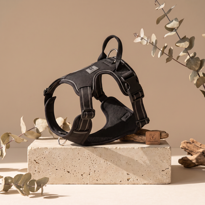 ComfyLead™ No-Pull Dog Harness (Bundle) — Make Walks More Peaceful